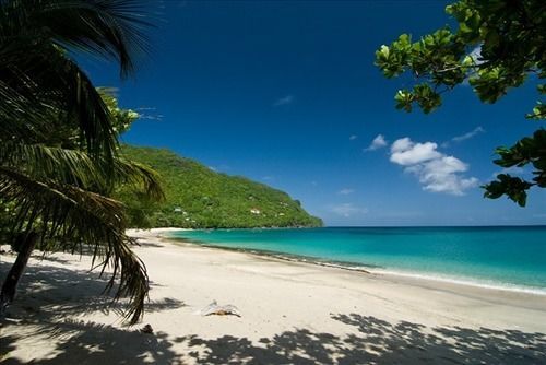 Keegans Beachside Hotel Bequia Island Eksteriør billede