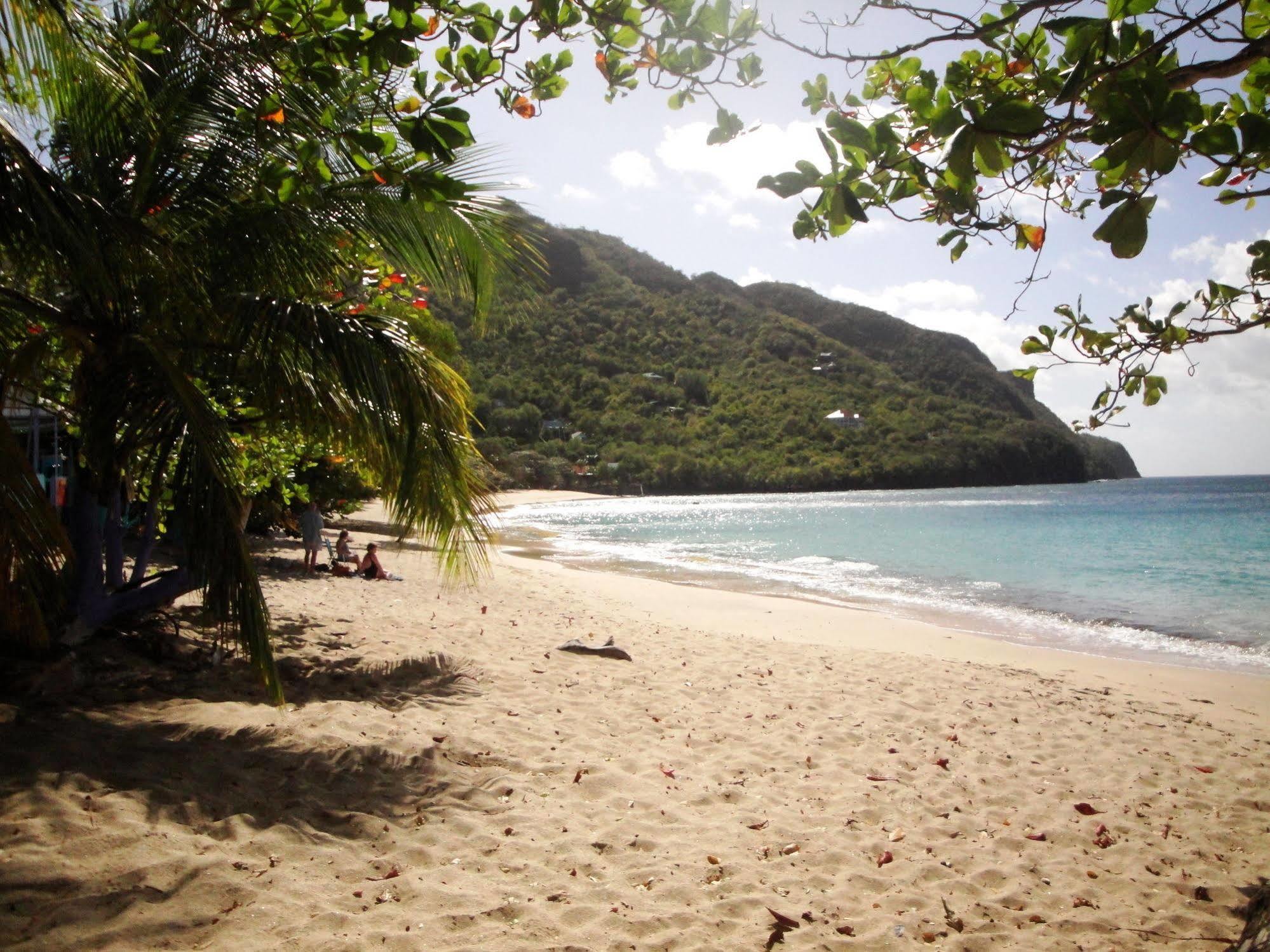 Keegans Beachside Hotel Bequia Island Eksteriør billede